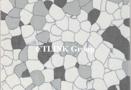Anti Static/ ESD Plastic Flooring Homogeneous Eco-friendly